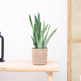 Product afbeelding 1