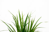 Product afbeelding 5