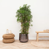 Product afbeelding 2