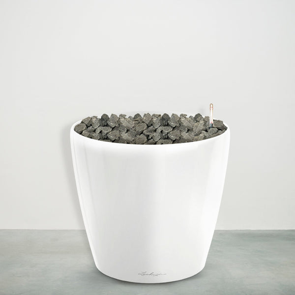 Combideal - Pachira Aquatica y compris auto-arrosage pot Joy M - 150cm