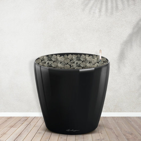 Caryota Mitis including Joy M - 120cm kopen bij Green Bubble