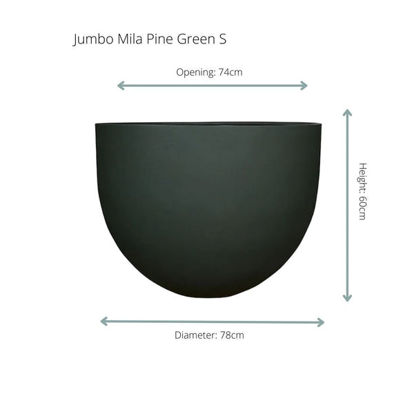 Jumbo Mila pine green