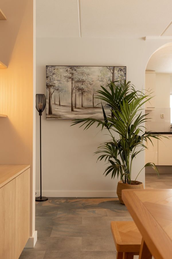 Kentia palm - 180cm kopen bij Green Bubble