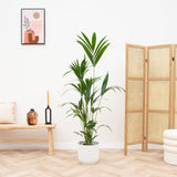 Product afbeelding 1