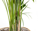 Product afbeelding 5