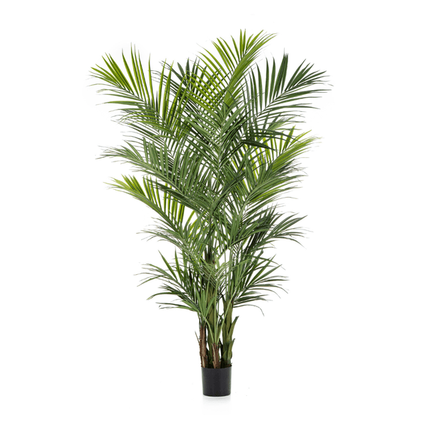 Kentia kunst palm - 260 cm