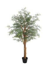 Planta artificial árbol Cassia - 150 cm