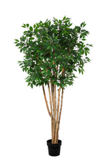Artificial Ficus Benjamina multi-stem - 180 cm