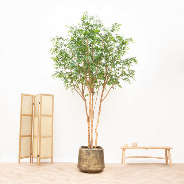 Artificial plant Murraya - 325cm