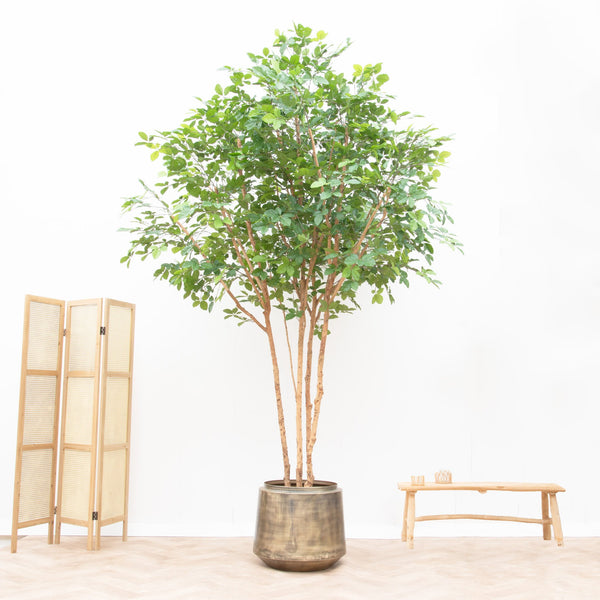 Artificial beech plant - 350cm