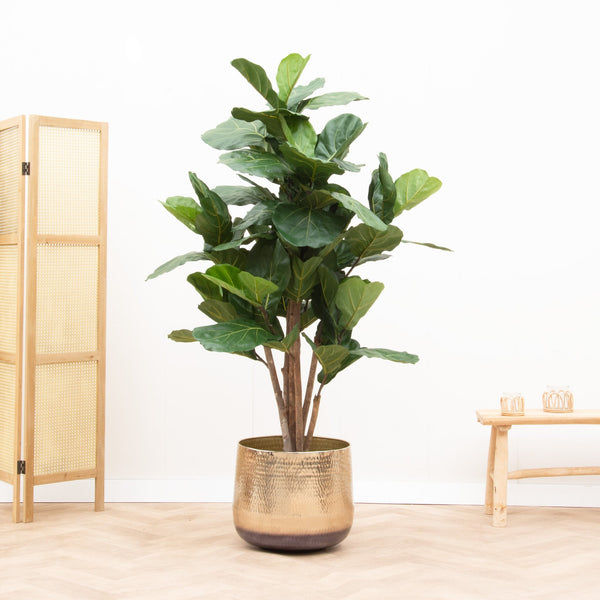 Plante Artificielle Décorative Réaliste - Sans Entretien, Ornement Vert Pour Bureau, Maison, Intérieur - Fausse Plante En Pot - 2