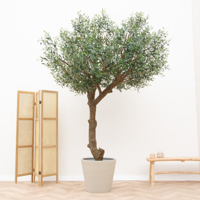 Kunstpflanze Olivenbaum Giant Y Stamm