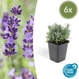 Product afbeelding 1