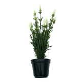Product afbeelding 2