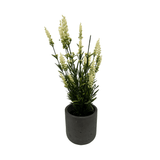 Product afbeelding 1