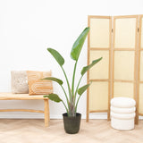 Product afbeelding 1