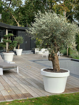 Product afbeelding 2