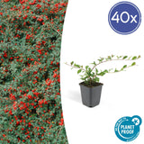 Product afbeelding 9