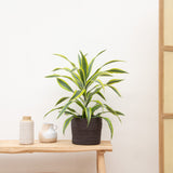 Product afbeelding 2