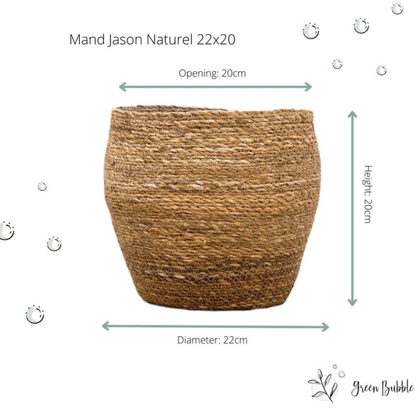 Mand Jason naturel