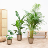Product afbeelding 2