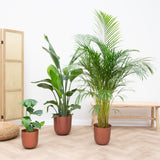 Product afbeelding 2
