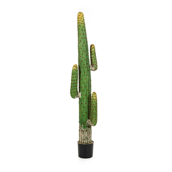 Kunst Mexicaanse Cactus - 170 cm