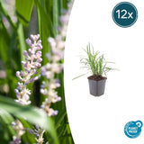 Product afbeelding 6