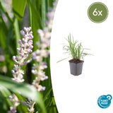 Product afbeelding 1