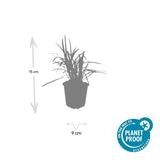 Product afbeelding 4