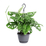 Product afbeelding 3