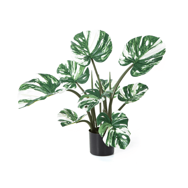 Monstera Deliciosa Wit kunstplant - 60 cm