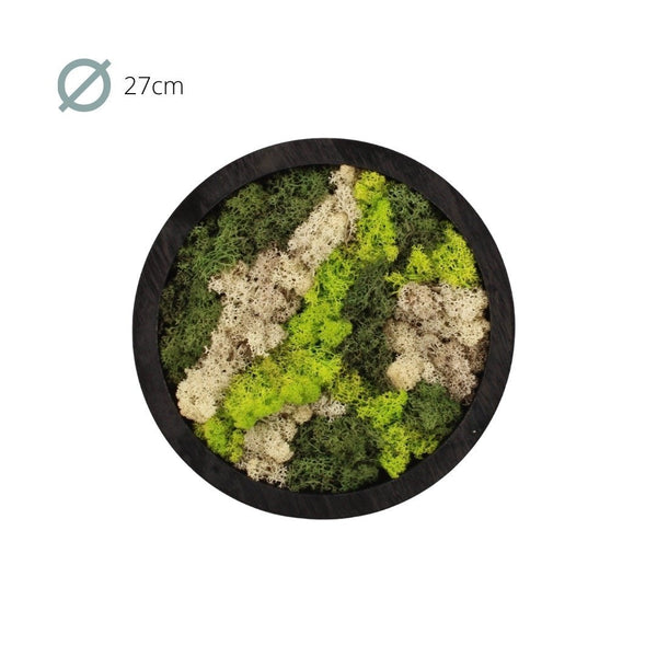 Moss Art rond kopen bij Green Bubble