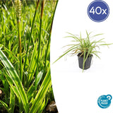 Product afbeelding 9