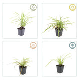 Product afbeelding 2