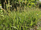 Product afbeelding 6