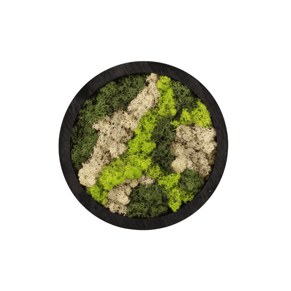Moss Art rond kopen bij Green Bubble