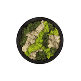 Product afbeelding 1