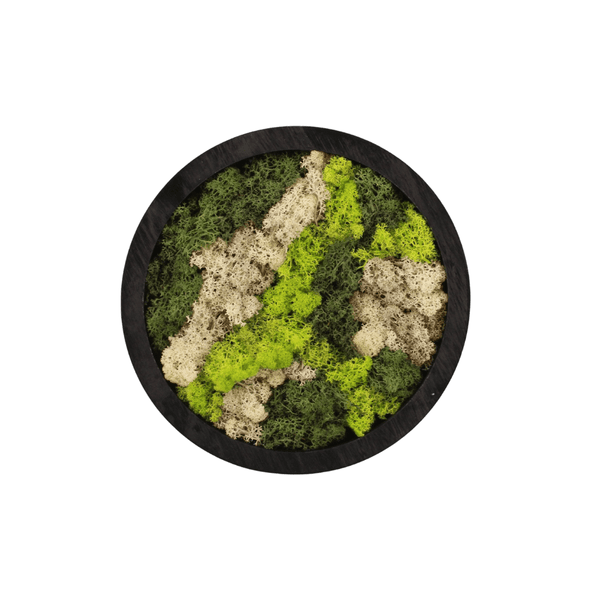 Moss Art rond