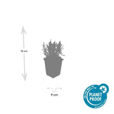 Product afbeelding 6