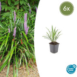 Product afbeelding 1