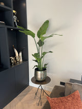 Product afbeelding 4