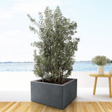Product afbeelding 5