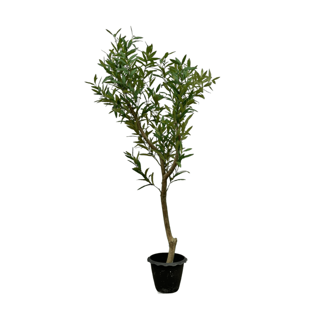 Künstlicher Olivenbaum | 160 cm