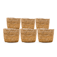 6x Mand Scott