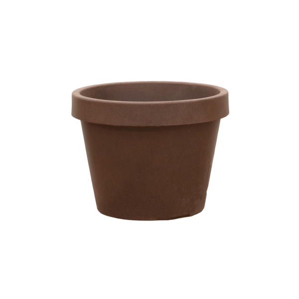 Lira Bronze kopen bij Green Bubble