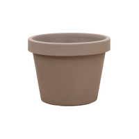 Pot Lira Tortora