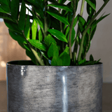 Product afbeelding 2