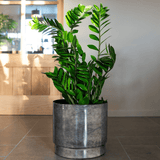 Product afbeelding 3