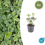 Product afbeelding 1